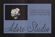 Adore Studio Romantic Font Duo, a Script Font by AnMark (Thumbnail 11 of 14)