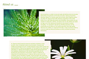 Dr. Sigmund - Wordpress Theme, a WordPress Template by inSTUDIO43 (Thumbnail 2 of 6)