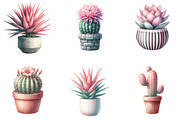 Pink Cactus and Succulents Clipart, an Illustration by Designking (Thumbnail 3 of 5)