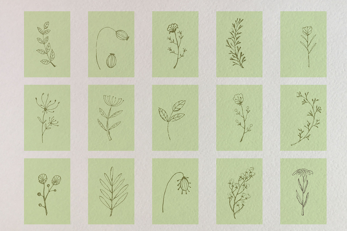 Just hand-drawn leaves, a Decorative Illustration by tinybunnyshop (Photo 4 of 11)
