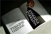 Brays unique display serif font, a Serif Font by suhadidesign (Thumbnail 4 of 11)