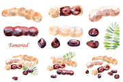 Watercolor tropical fruits., an Illustration by TaPilipa (Thumbnail 38 of 39)