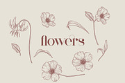 Mother Serif Typeface - 5 weights, a Serif Font by VP Fonts (Thumbnail 12 of 13)