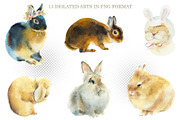 Watercolor Set Rabbits, an Animal Illustration by Budogoshch (Thumbnail 2 of 9)