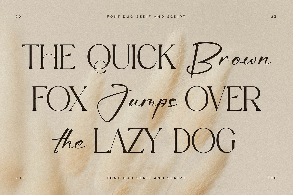 Aurora Magnollia Font Duo, a Serif Font by Storytype Studio (Photo 3 of 15)