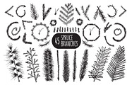 Hand Drawn Spruce Branches & Pattern, a Background Graphic by IRSYART (Thumbnail 1 of 9)