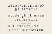 Omega – Serif Display Font, a Serif Font by Almeera Std (Thumbnail 7 of 10)