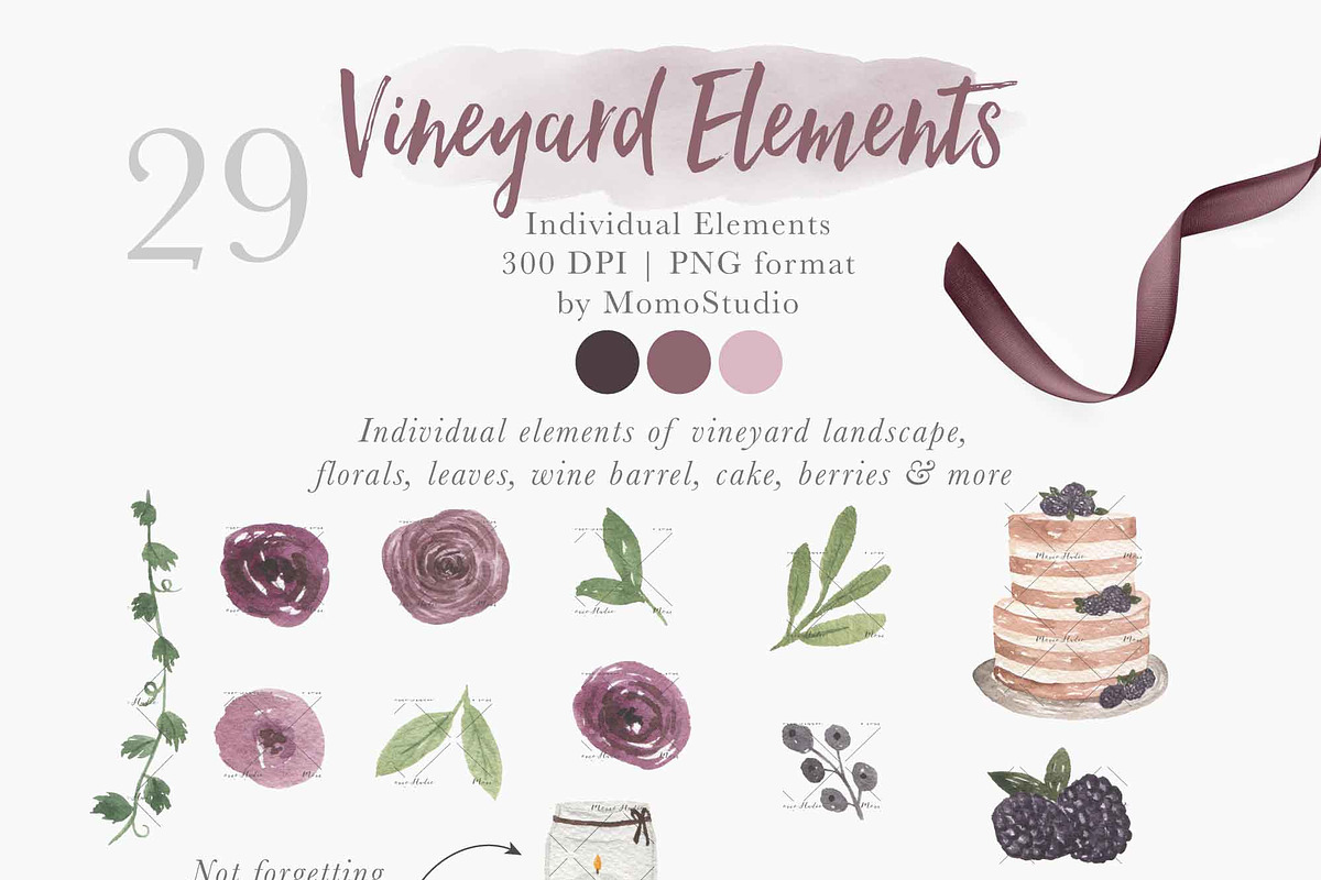 Watercolor Vineyard Elements, an Illustration by Momo Studio (Photo 7 of 16)
