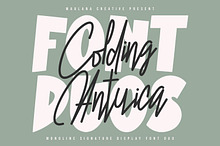 Colding Antuica Font Duo