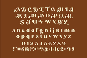 Relia Maliks - Retro Serif Font