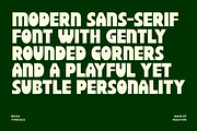 Ricka - Bold Sans Display Font, a Sans Serif Font by Pekotype (Thumbnail 2 of 15)