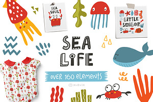 Sea life collection