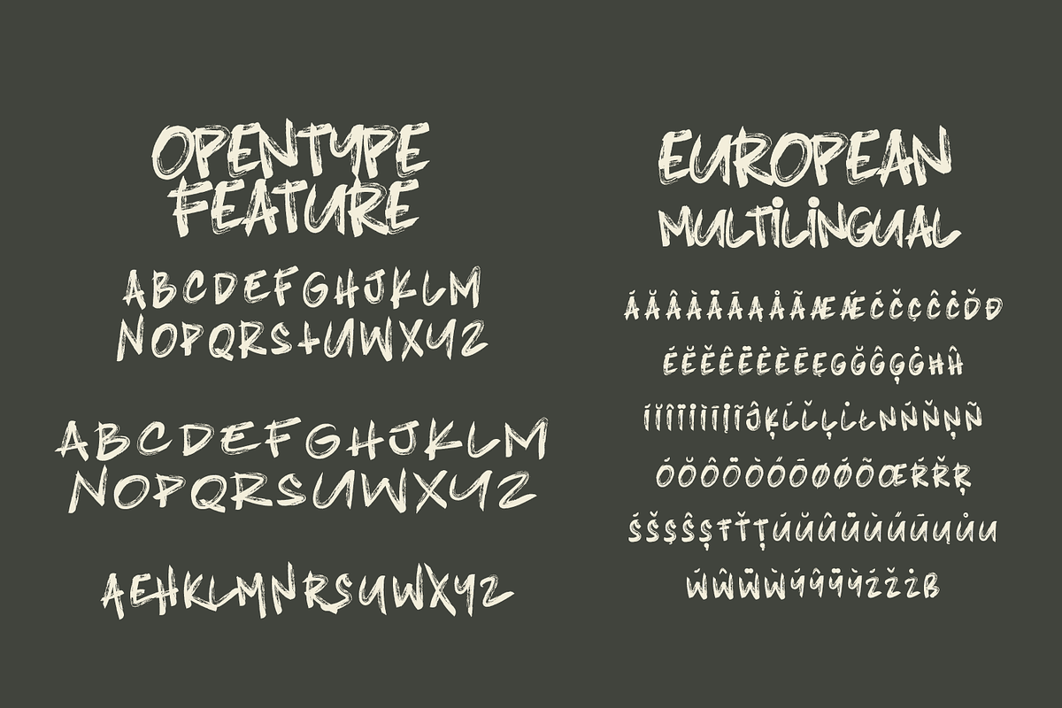 Blindshot - Wild Style Brush Fonts, a Handwritten Font by Crump Hand (Photo 5 of 5)