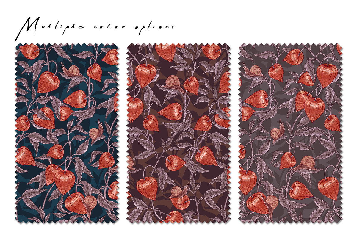 PHYSALIS GARDEN — Botanical Patterns, a Decorative Illustration by Liiafis (Photo 4 of 17)