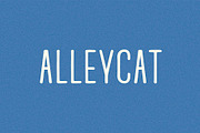 Alleycat I A Rounded Sans Serif Font, a Sans Serif Font by Taylor Penton (Thumbnail 1 of 3)