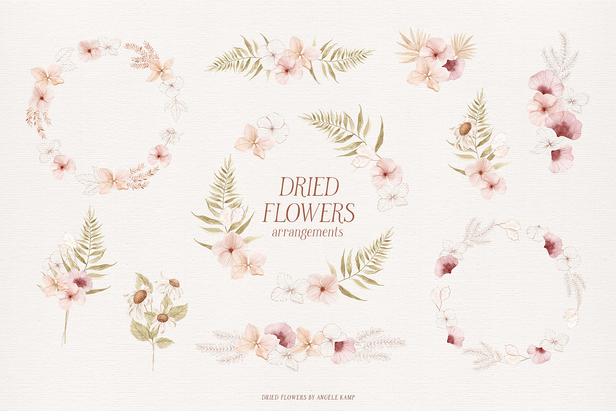Dried flowers watercolor graphics, an Illustration by Angele Kamp (Photo 9 of 10)
