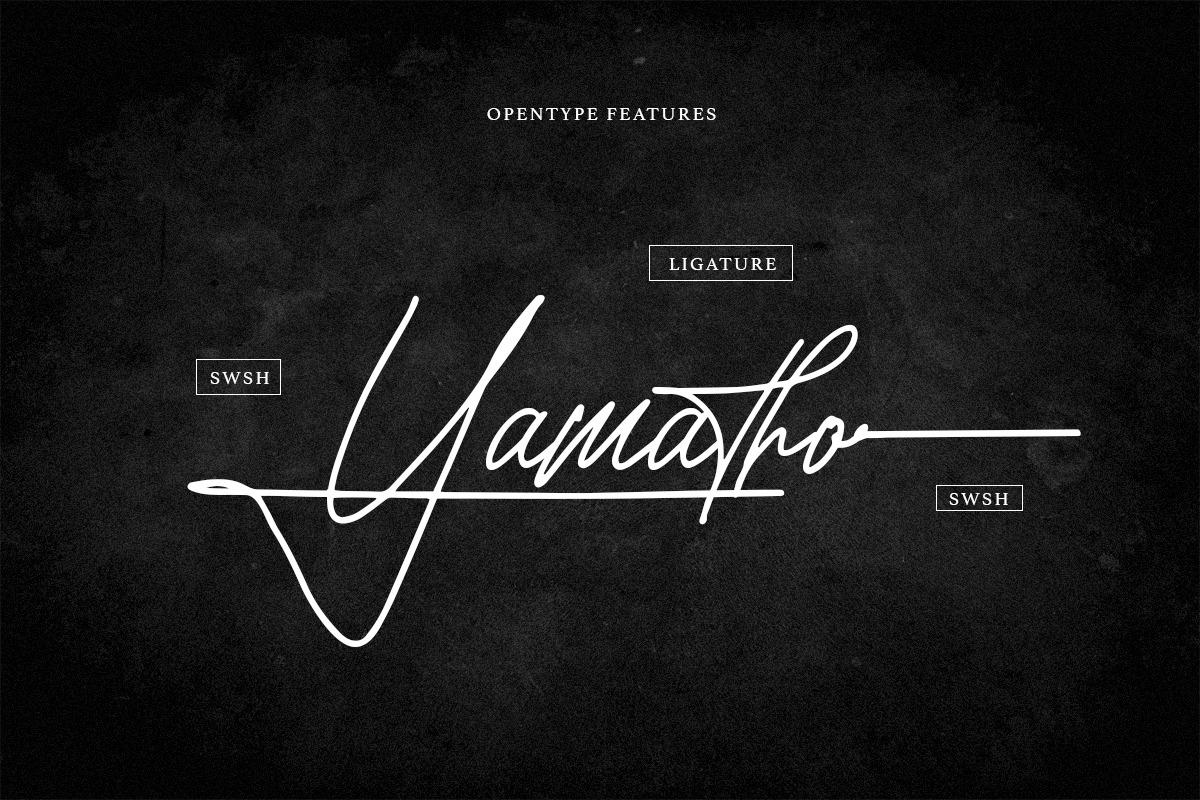 Authorman - Stylish Signature Script, a Script Font by Bale Type (Photo 3 of 11)