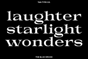 TAN - THE BLUE ORCHID, a Serif Font by TanType (Thumbnail 6 of 12)