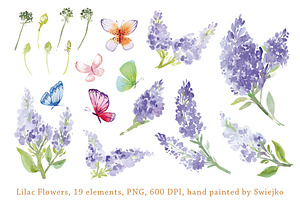 Watercolor Lilac Flowers, Butterfly