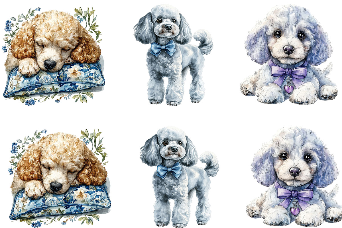 Watercolor Poodle Clipart, a Seasonal Illustration by Designking (Photo 5 of 5)