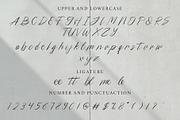 Henrietta - Signature Font, a Script Font by Typevora Studio (Thumbnail 8 of 9)