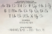 Sunday, a Handwritten Font by FreshTypeINK (Thumbnail 6 of 8)
