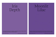 6 Fresh Purple Grain Backgrounds, a Texture Graphic by CREATIVE WORKS. (Thumbnail 4 of 5)