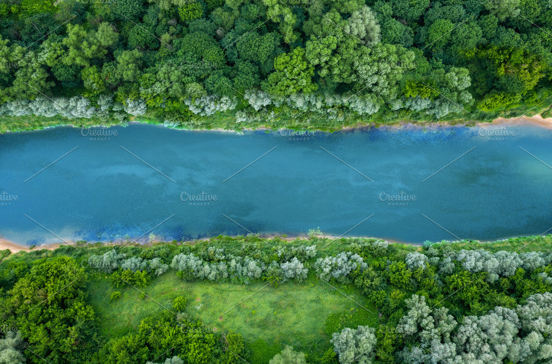 top view of summer green trees with, a Nature Photo by AlexZaitsev