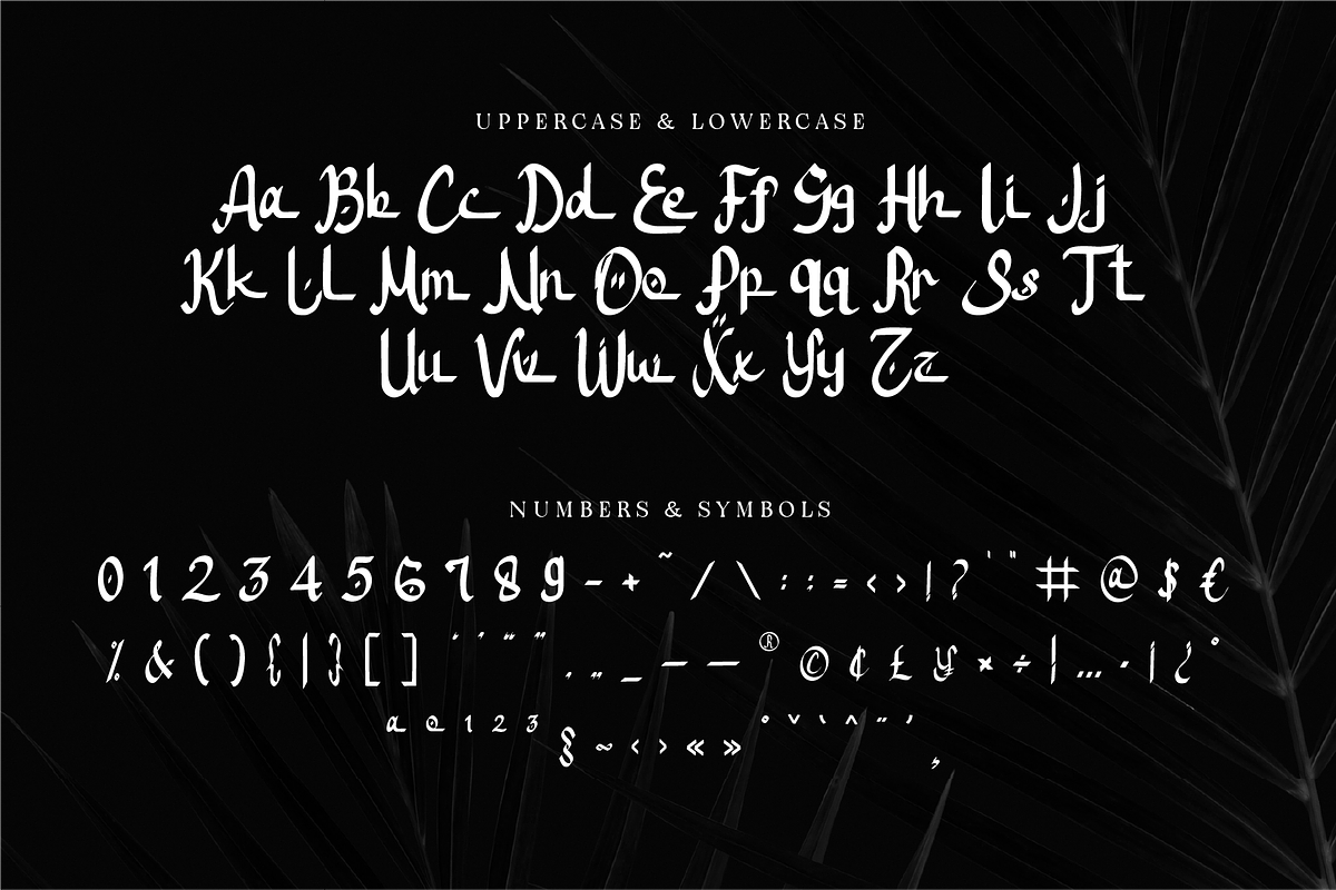 Nurhijaz - Arabic Display, a Script Font by Indotype Foundry (Photo 9 of 10)