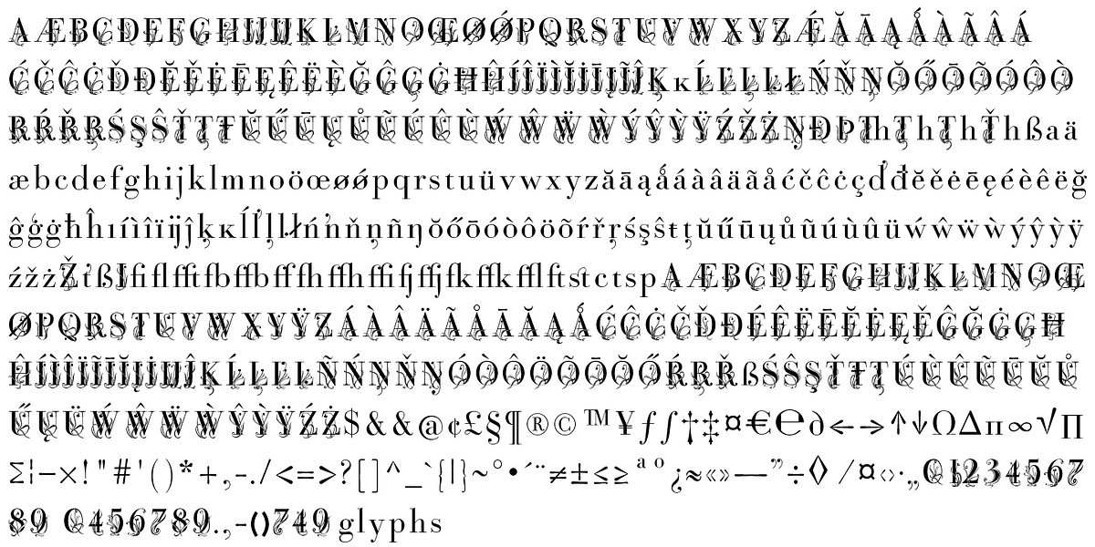Bodoni Classic Fleurs, a Serif Font by Wiescher-Design (Photo 6 of 7)