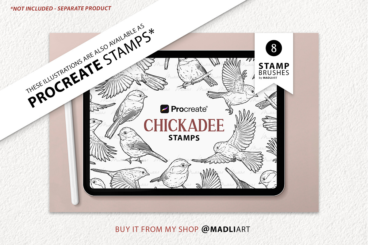 Chickadee Bird Vector Line Art Set, an Animal Illustration by MadliArt (Photo 4 of 4)