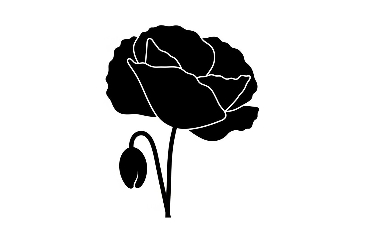 Floral Ornament Silhouette Bundle, an Illustration by BIPLOB EXPERT (Photo 2 of 51)