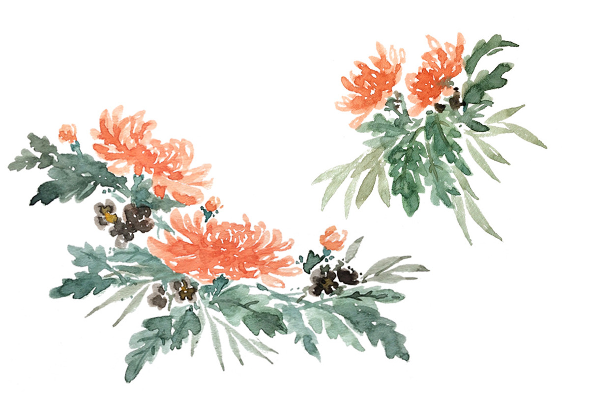 Chrysanthemums - Watercolor clip art, an Illustration by amyxbao (Photo 2 of 2)
