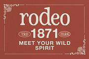 Alcemo - Hand-Drawn Vintage Serif, a Serif Font by Pandeka Studio (Thumbnail 5 of 9)