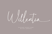 Willentia - Elegant Script Font