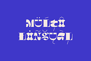 Varia Display - 36 Days of Type 2023, a Font by Tomas Castiglioni (Thumbnail 5 of 13)