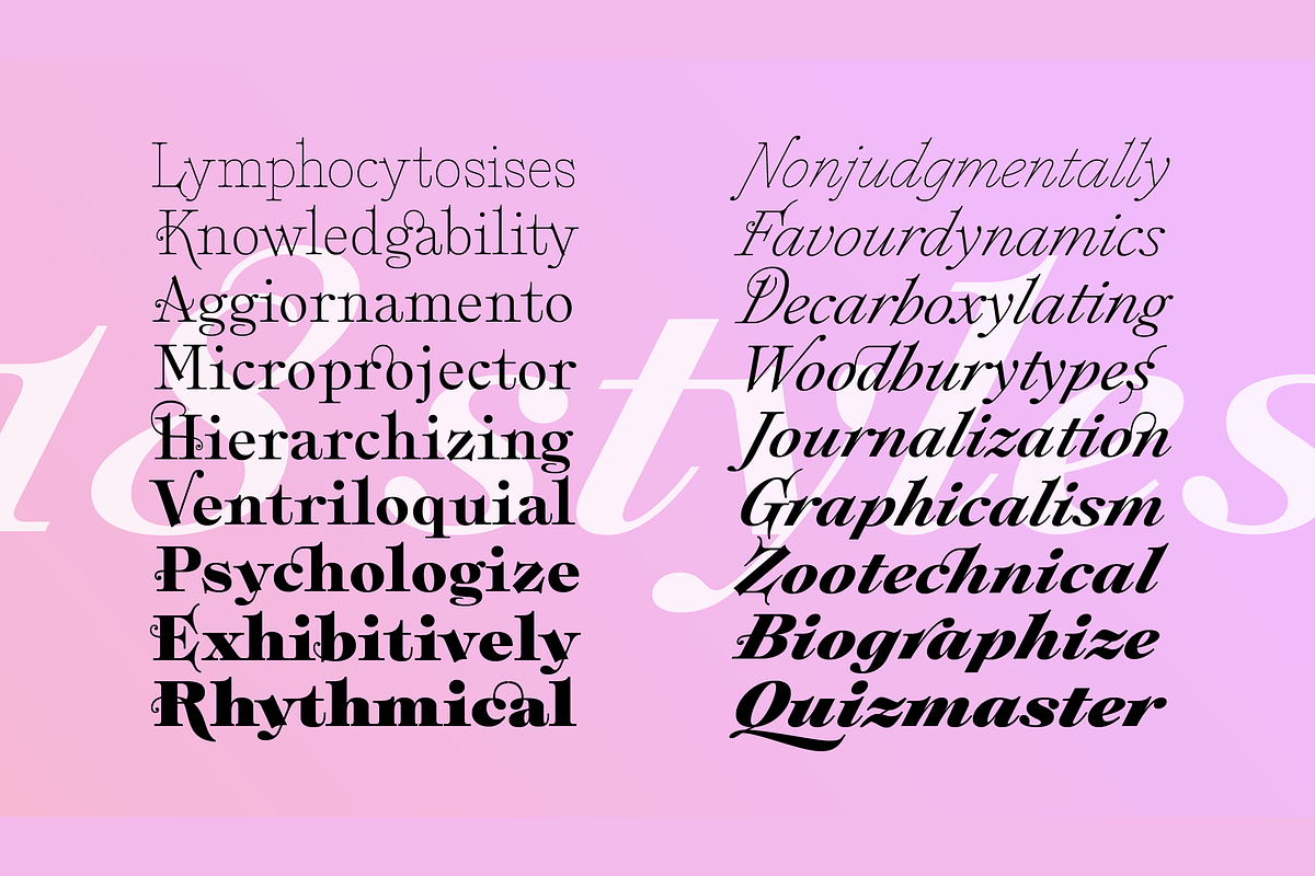 Plethora, a Serif Font by Sudtipos (Photo 7 of 12)