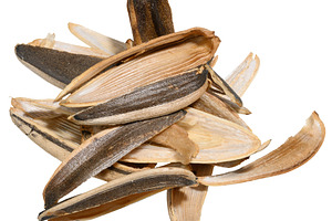Close up of a chaotic pile of empty sunflower seed husks. Isolat, a Food & Drink Photo by ndanko