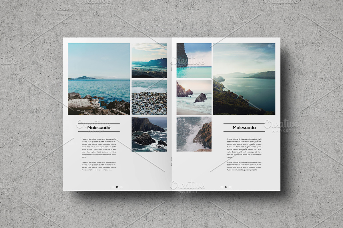 Multipurpose Portfolio Template, a Brochure Template by ShapShapy (Photo 6 of 14)
