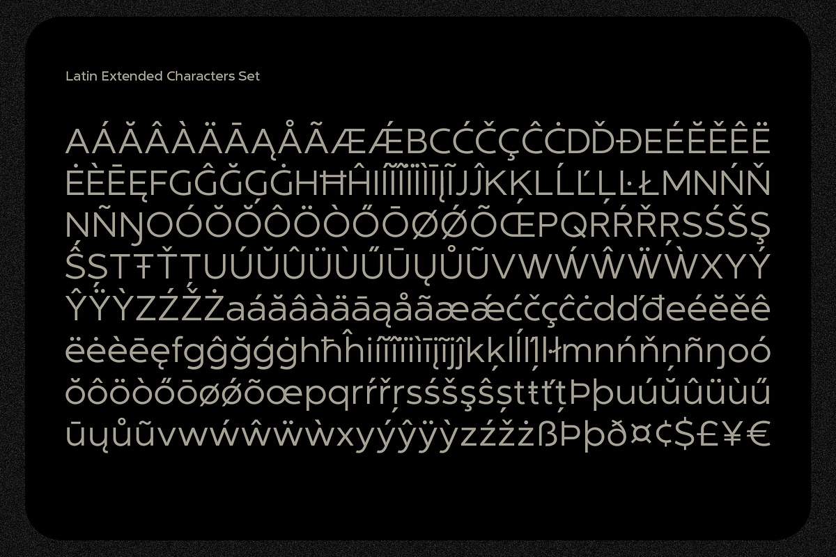 NT Marley, a Sans Serif Font by nevsky.type (Photo 10 of 14)