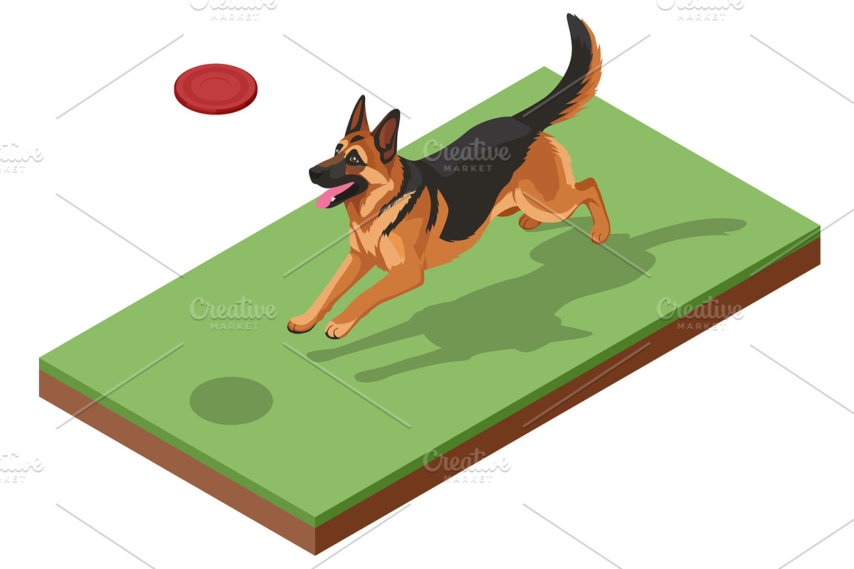 An isometric illustration of a, an Animal Illustration by Golden Sikorka