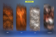 Realistic Fur & Hair Brushes, a Brush Add-On by ZiziMarket (Thumbnail 2 of 7)