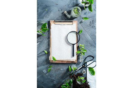Botanist workplace overhead shot with clipboard field notes magnifying glass, a Nature Photo by dinabelenko