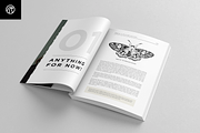 Canva: Minimalist Ebook Template Kit, a Templates & Theme by Designova® (Thumbnail 7 of 20)