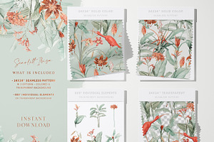 Tropical Mint Orange Paper Pack