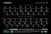 Soullar Typeface, a Serif Font by alit design (Thumbnail 11 of 20)