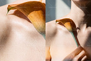 Heat-Bloom Stock Photos & Videos, a Holiday Photo by Iconogenic (Thumbnail 8 of 8)