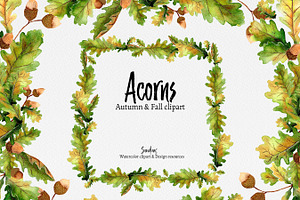 Autumn Clip Art: ACORNS Watercolor