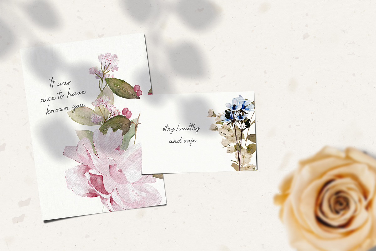 Watercolor Flowers & Leaves, a Decorative Illustration by Damian Roh (Photo 7 of 20)