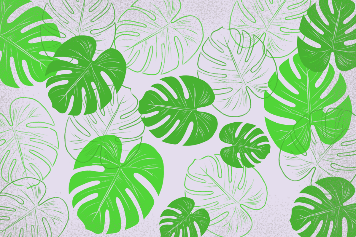 Procreate Tropical Leaves Brush Kit preview 7